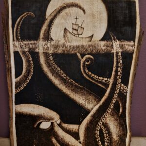 Bild Oktopus
